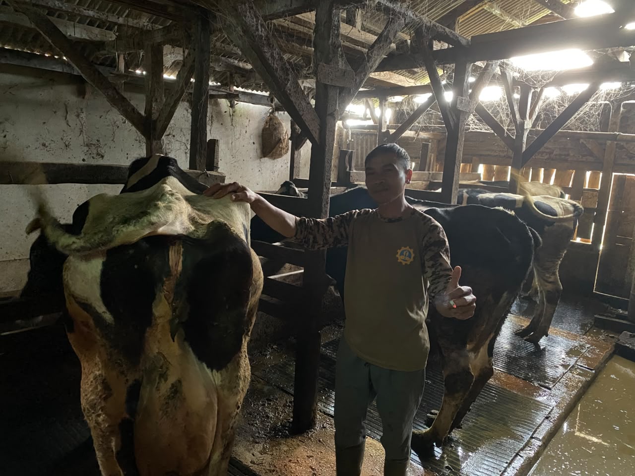 Potensi Peternakan Dusun 1