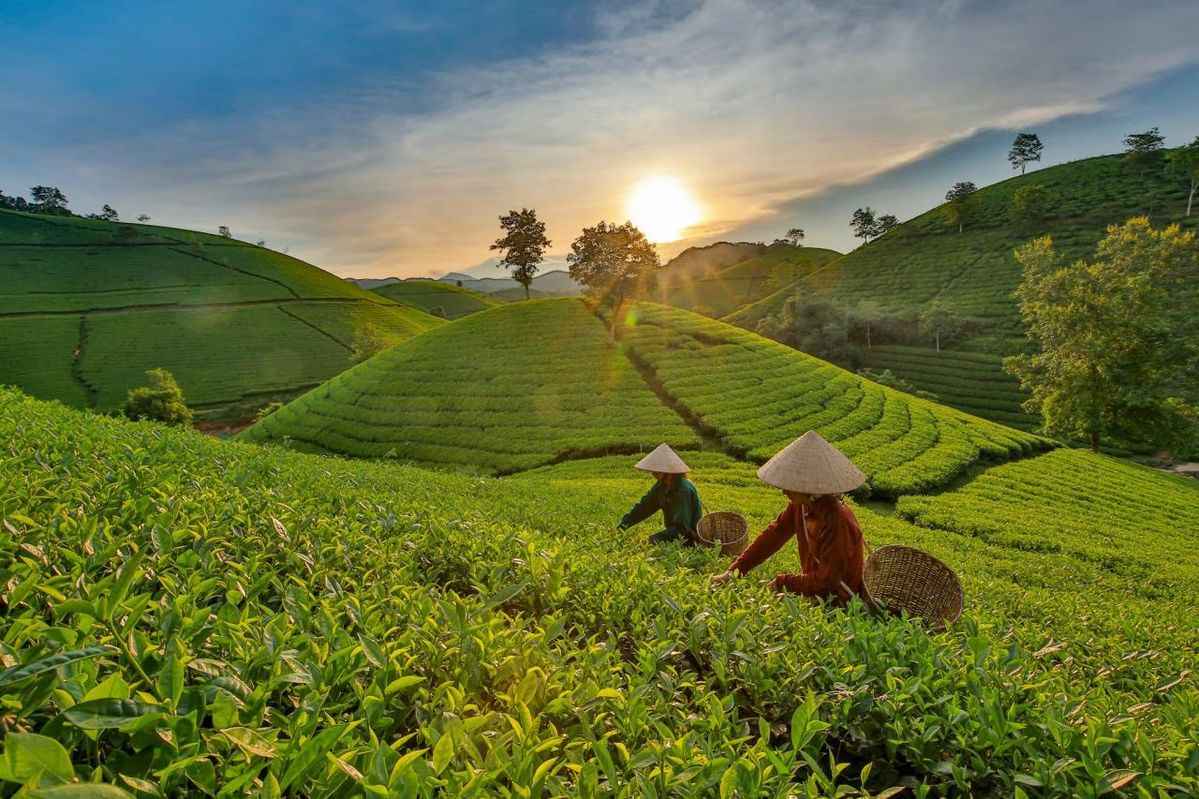 Foto Wilayah Desa Cikembang